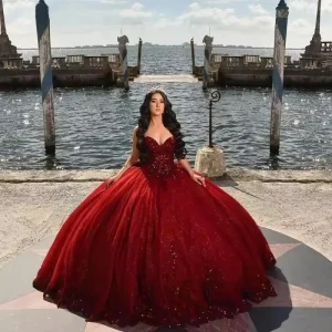 Glittering Burgundy Ball Gown Quince Dresses Cinderella Appliques Birthday Party