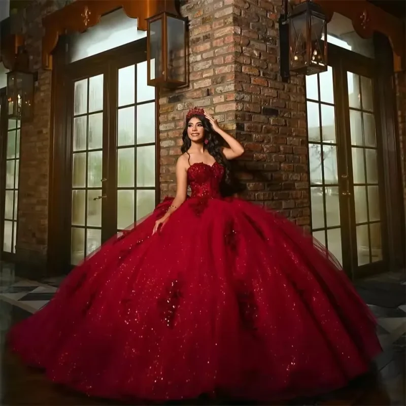 Burgundy Ball Gown Quince Dresses Princess Tulle Appliques